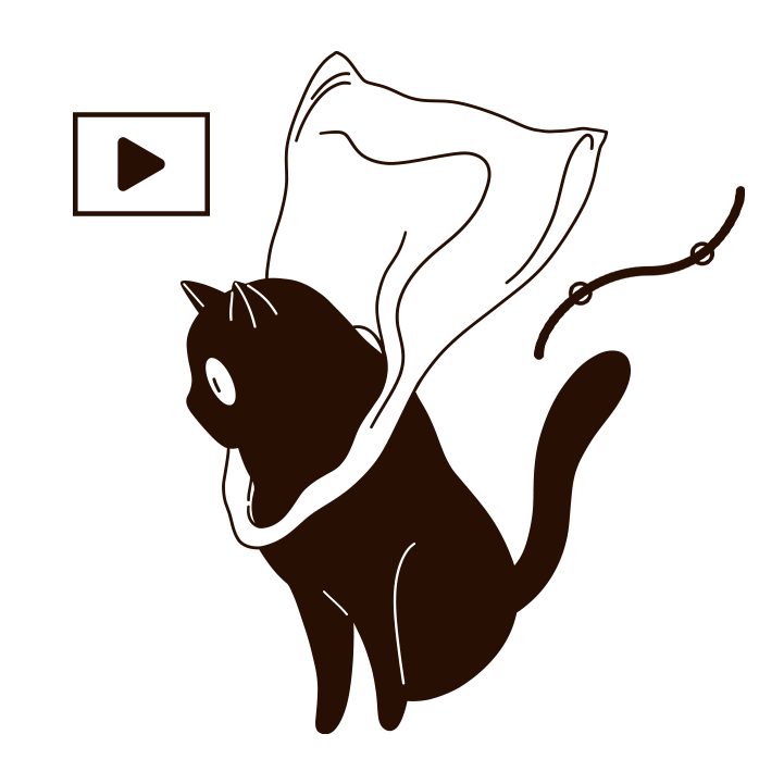 Motion Graphics